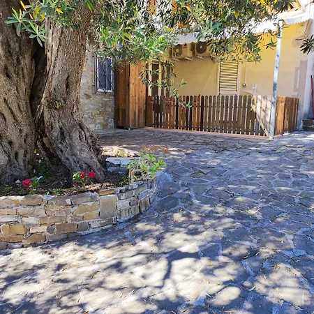 Il Conte Di Marraone-3